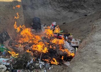Secuestran 700 kilos de carne de guanaco en un operativo en Gaiman