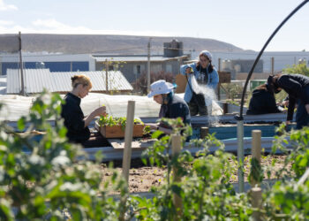 El Centro Agroecológico Municipal propone una práctica abierta a la comunidad
