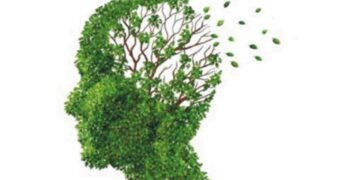 “Hablemos de demencia”: realizarán una jornada sobre Alzheimer en Comodoro