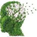 “Hablemos de demencia”: realizarán una jornada sobre Alzheimer en Comodoro
