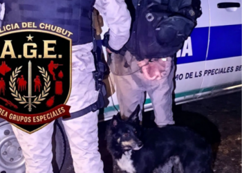 Secuestran a “Chicho” durante operativo rural en Sarmiento