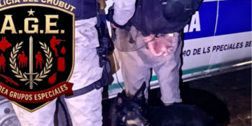 Secuestran a “Chicho” durante operativo rural en Sarmiento