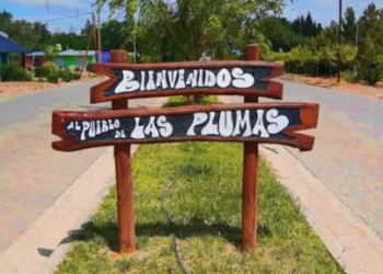 Un trabajador rural fallece aplastado por su camioneta en Las Plumas