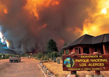 Luque advirtió por la situación irregular del Parque Nacional Los Alerces