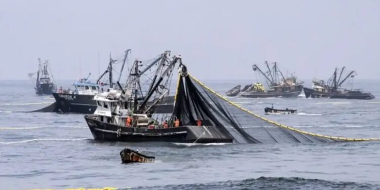 Pesca ilegal: Luque y diputados de UxP pidieron que se acelere tratamiento de proyecto