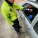 Provincia controló más de 8 mil vehículos y demoró a dos conductores que chocaron mientras conducían alcoholizados