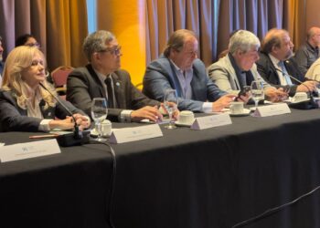 La UNPSJB participó del Congreso y Plenario del CIN