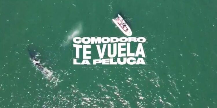“Comodoro te Vuela la Peluca”: lanzaron la nueva campaña turística para la temporada 2026-2027