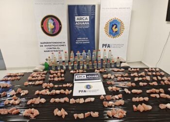 Golpe récord: secuestraron 52 kilos de MDMA que llegaron desde Europa