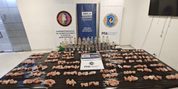 Golpe récord: secuestraron 52 kilos de MDMA que llegaron desde Europa