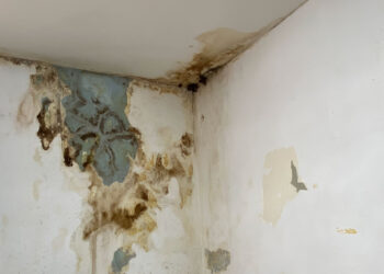15 soluciones efectivas para combatir la humedad en casa