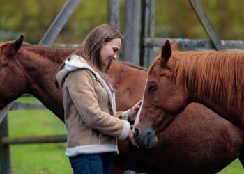 Meditación con caballos: una propuesta para conectar con el presente y la naturaleza