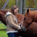 Meditación con caballos: una propuesta para conectar con el presente y la naturaleza