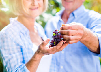 Las Uvas son el nuevo aliado natural contra el Alzheimer