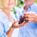 Las Uvas son el nuevo aliado natural contra el Alzheimer