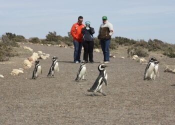 Fin de semana largo récord en Chubut: más de 24 mil turistas y un movimiento económico de $11.000 millones