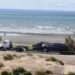 Investigan la muerte de cuatro ballenas halladas en menos de 24 horas en Puerto Madryn
