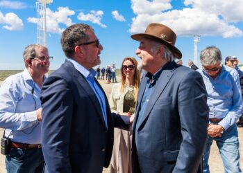 Macharashvili destacó la importancia de avanzar hacia una red energética federal