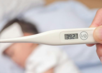 Fiebre Hemorrágica Argentina: notificaron 22 casos confirmados en lo que va del año