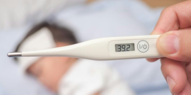 Fiebre Hemorrágica Argentina: notificaron 22 casos confirmados en lo que va del año