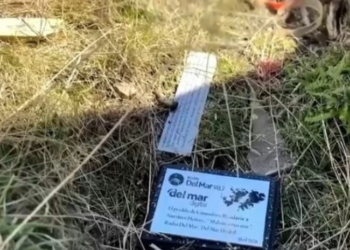 Polémica por placas y homenajes retirados del Cementerio de Darwin en las Islas Malvinas