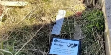 Polémica por placas y homenajes retirados del Cementerio de Darwin en las Islas Malvinas