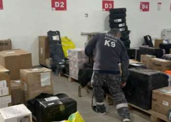 Detectan 600 municiones y droga en encomiendas de Comodoro