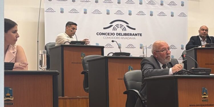 El Concejo aprobó la emergencia económica