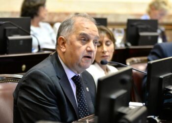 Linares: “Vamos a insistir con la ley que prohíba la venta de tierras a los extranjeros”