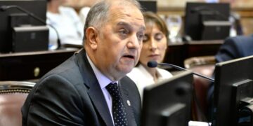 Linares: “Vamos a insistir con la ley que prohíba la venta de tierras a los extranjeros”