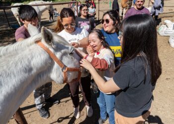 El Municipio promueve terapias con animales para personas con discapacidad