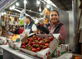 La Expo Ganadera 2027 de la Sociedad Rural de Comodoro tiene fecha confirmada y abrió la venta de stands