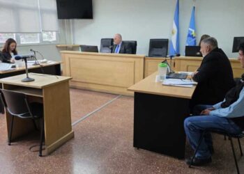 Formalizaron la investigación por presunto maltrato del caballo “René”