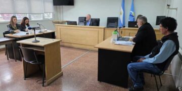 Formalizaron la investigación por presunto maltrato del caballo “René”