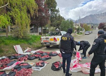 Secuestran carne de guanaco y de puma