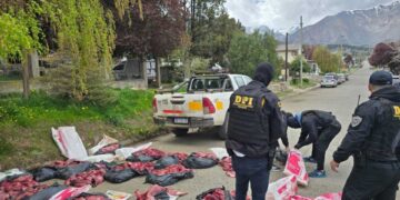 Secuestran carne de guanaco y de puma