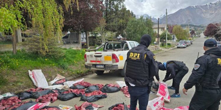 Secuestran carne de guanaco y de puma