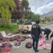 Secuestran carne de guanaco y de puma