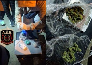 McQueen detectó cannabis durante un operativo policial en Comodoro Rivadavia