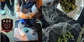 McQueen detectó cannabis durante un operativo policial en Comodoro Rivadavia