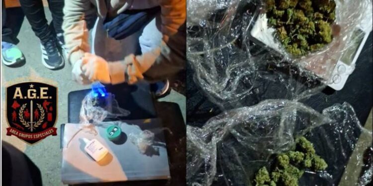 McQueen detectó cannabis durante un operativo policial en Comodoro Rivadavia