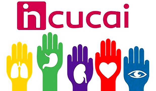 Más de 2.500 personas recibieron un trasplante en lo que va del año gracias a la donación de órganos