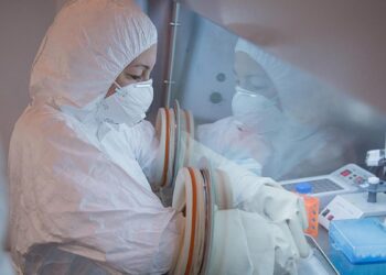 En Siberia descartan el pánico pese a la alerta sanitaria por un presunto caso de peste